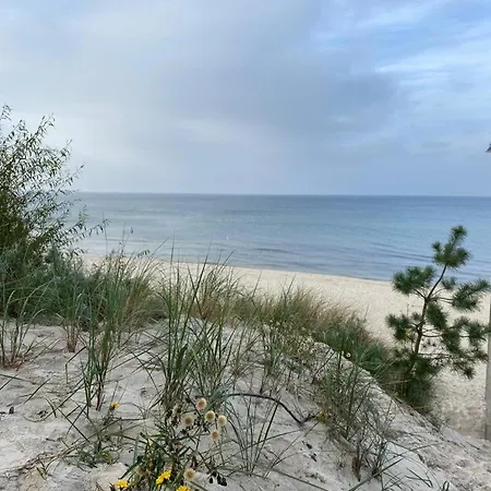 Dziki Zakatek Bed & Breakfast 3*