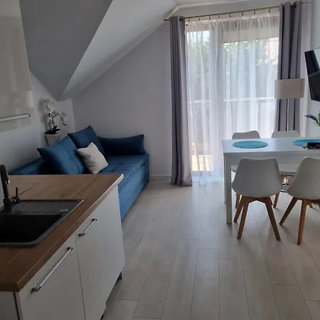 Dziki Zakatek