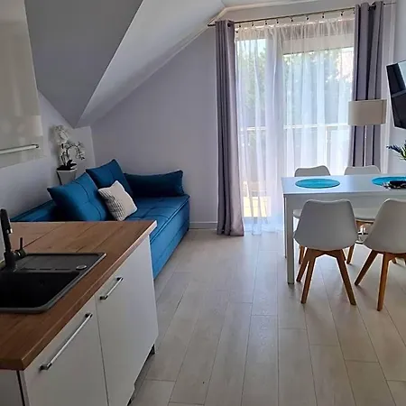 Dziki Zakatek