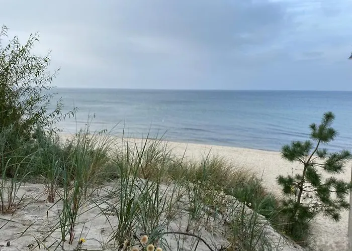 Dziki Zakatek Отель типа 